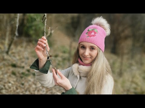 Bachblüte Nr. 2 ASPEN - Zitterpappel & Ängste / von Sandra Stopar