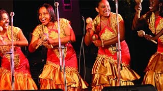 🔴 Parang Live in Trinidad and Tobago 🇹🇹