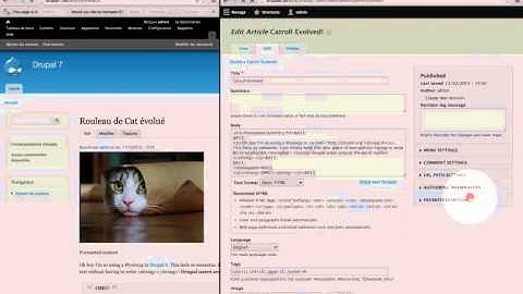 87. How to translate content in Drupal 7 and Drupal 8