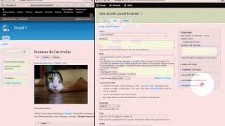 87. How to translate content in Drupal 7 and Drupal 8