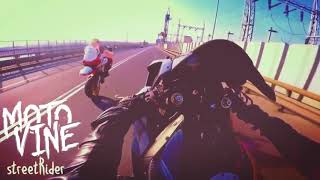 Combo Vine 13