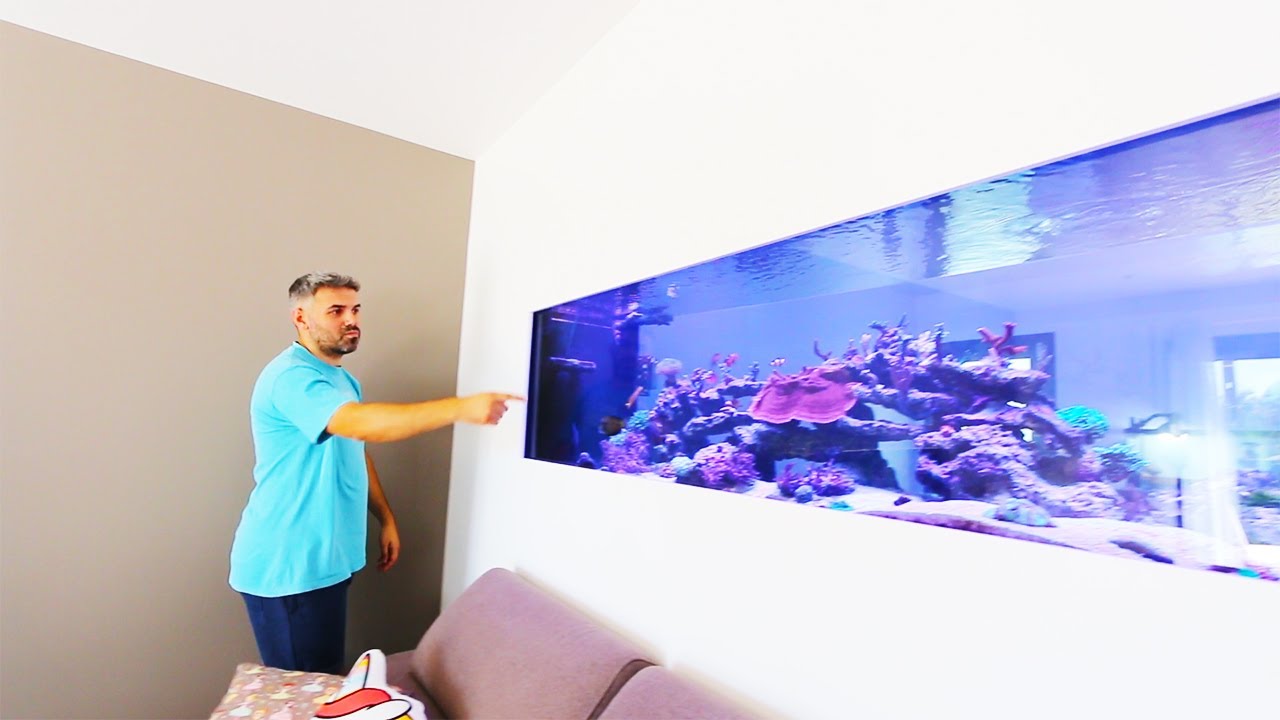 TIAGO'S REEF TANK -  Portugal tour