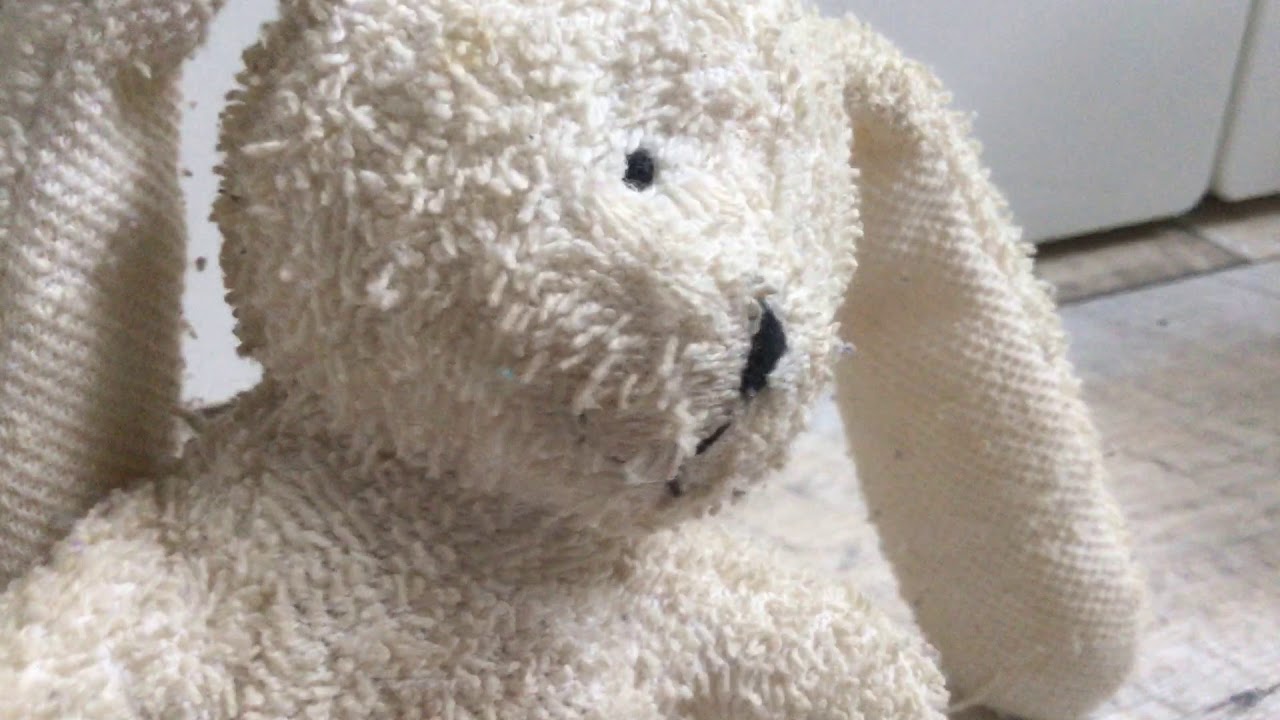 Hase und Hund 2 YouTube