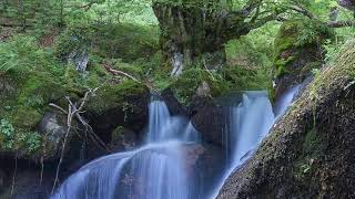 10 Minute Waterfall & Tibetan Bowl Music Meditation (No Ads) Jade Lotus Bath Me