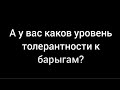 А у вас каков уровень толерантности к барыгам?