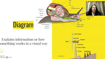 Nonfiction Text Features Part 2