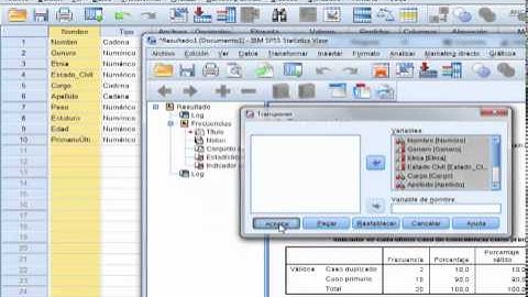 Manipulación y Transformación de datos en SPSS