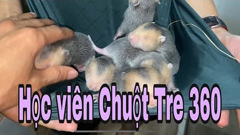 HÃY COI NHAU LÀ CHIA SẺ KHÔNG MANG TÍNH THẦY TRÒ, GIÚP BẠN HIỂU VỀ NGHỀ NUÔI DÚI = THỰC HÀNH THỰC TẾ