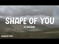 Ed sheeran  shape of you  lyrics