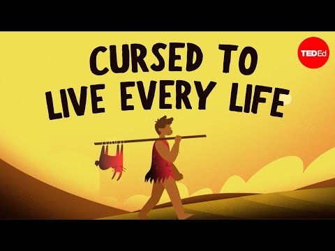 What If You Experienced Every Human Life In History?