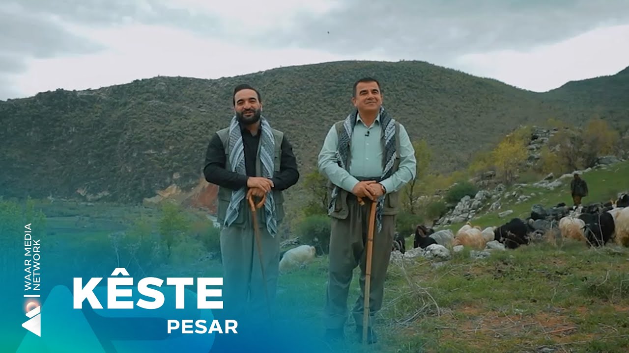 Pesar - Kêste | پەسار - کێستە