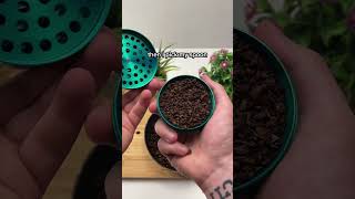 Perfect coffee roaster