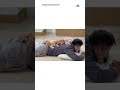 【ニャンコ島】パパの背中が大好きな子猫さんたち|PECO