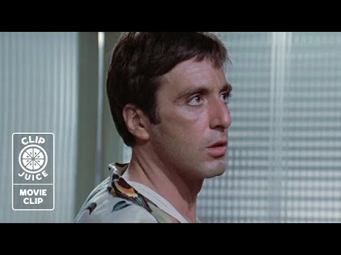 Interrogated at the Border | SCARFACE (1983) Movie Clip