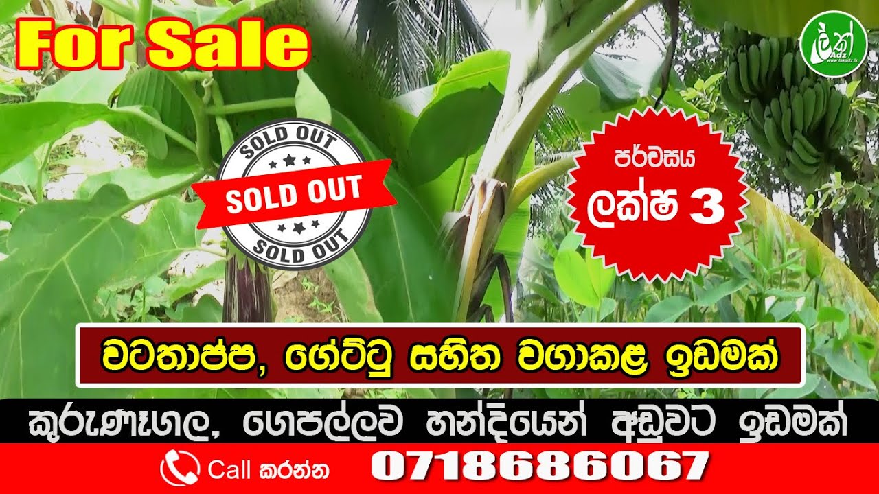 Land for sale in Kurunegala Contact 0718686067 LAK ADS YouTube