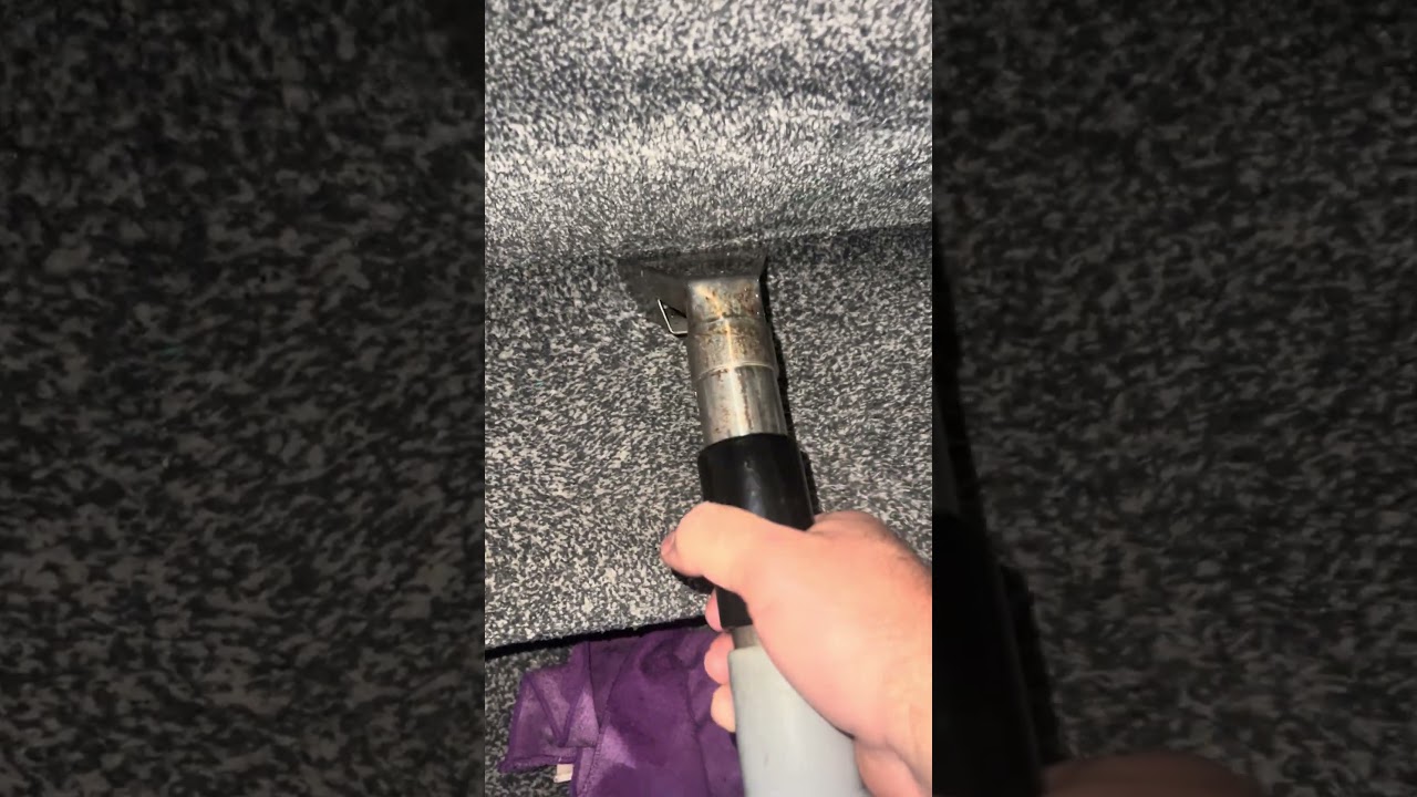 Professional Carpet Cleaning You Can Trust 