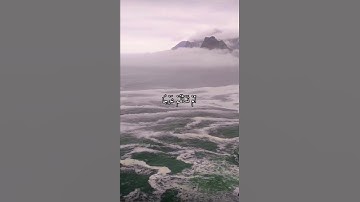 واتس اب قران كريم القارئ ياسر الدوسري (سوره المؤمنون)