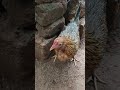 trying to escape from me