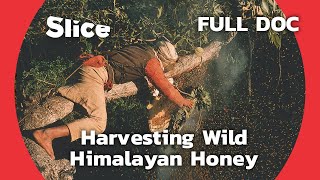 Raji: The Honey Hunters