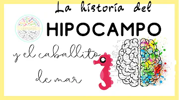 Como se pode melhorar a memória de curta duração?