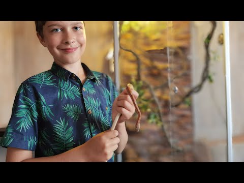 КАК ПРИРУЧИТЬ ЗМЕЮ🐍