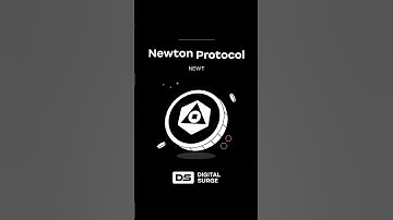 Birthday Coin Frenzy - Newton Protocol just dropped