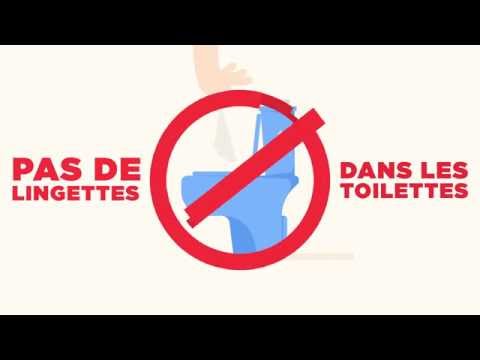 Vidéo: Les lingettes humides bloquent-elles les toilettes ?