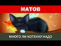 Алексей Матов - Много ли котенку надо