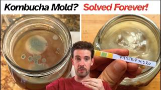 How to Prevent Mold on Kombucha Forever (Scientific Explanation)