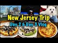 Exploring the Best of New Jersey: Day 2 & Day 3 Vlog - Temple, Food, and More!
