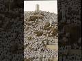 Islamic shorts #shorts #love #trending #ytshorts #viral #video #islamic