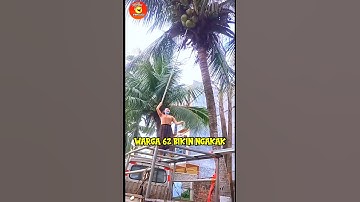 Video lucu hiburan warga 62 video lucu banget bikin ngakak sakit perut #shorts