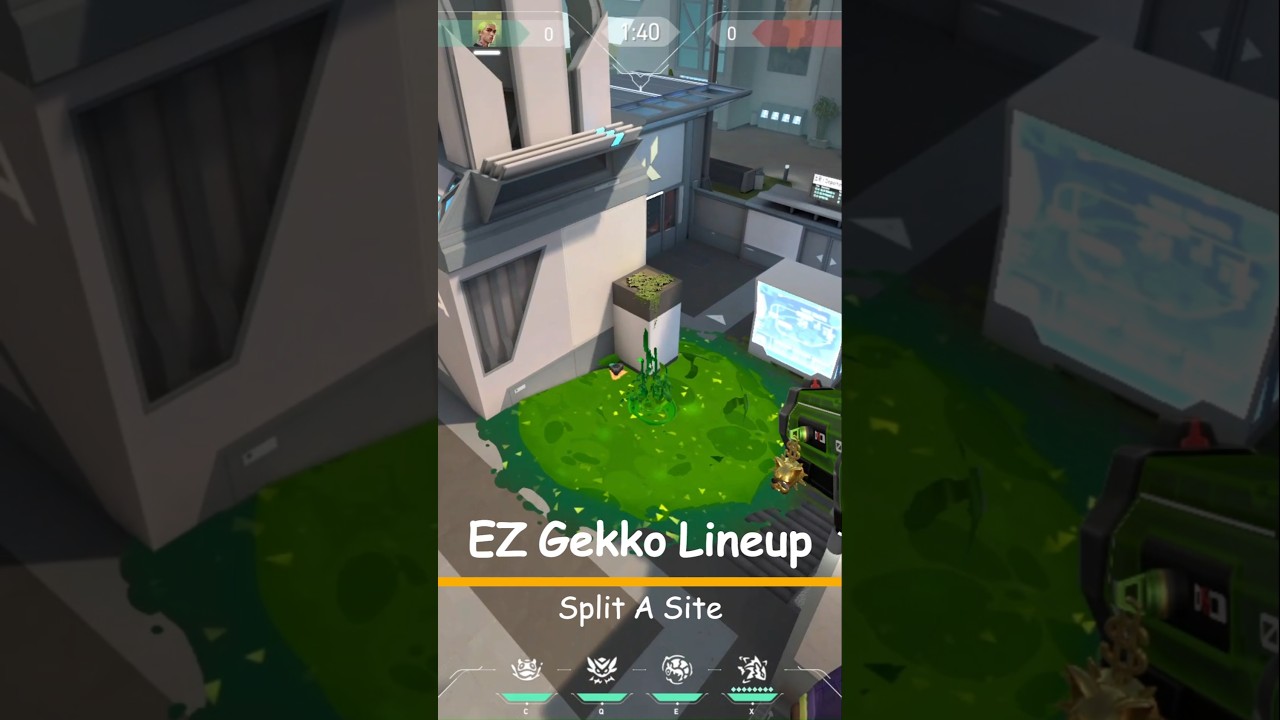 Gekko Lineup Split A Site 
