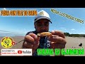 CLAROMECO: buena pesca con FILET de CARPA!!! 09/12/21