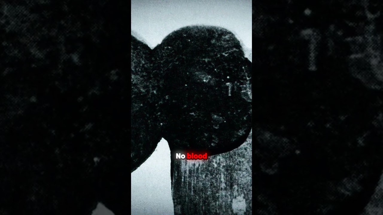 No Murder Weapon, No Blood: The Trial’s Biggest Mysteries