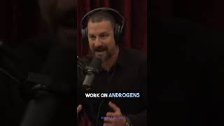 Andrew Huberman Talks About Testosterone Optimization!