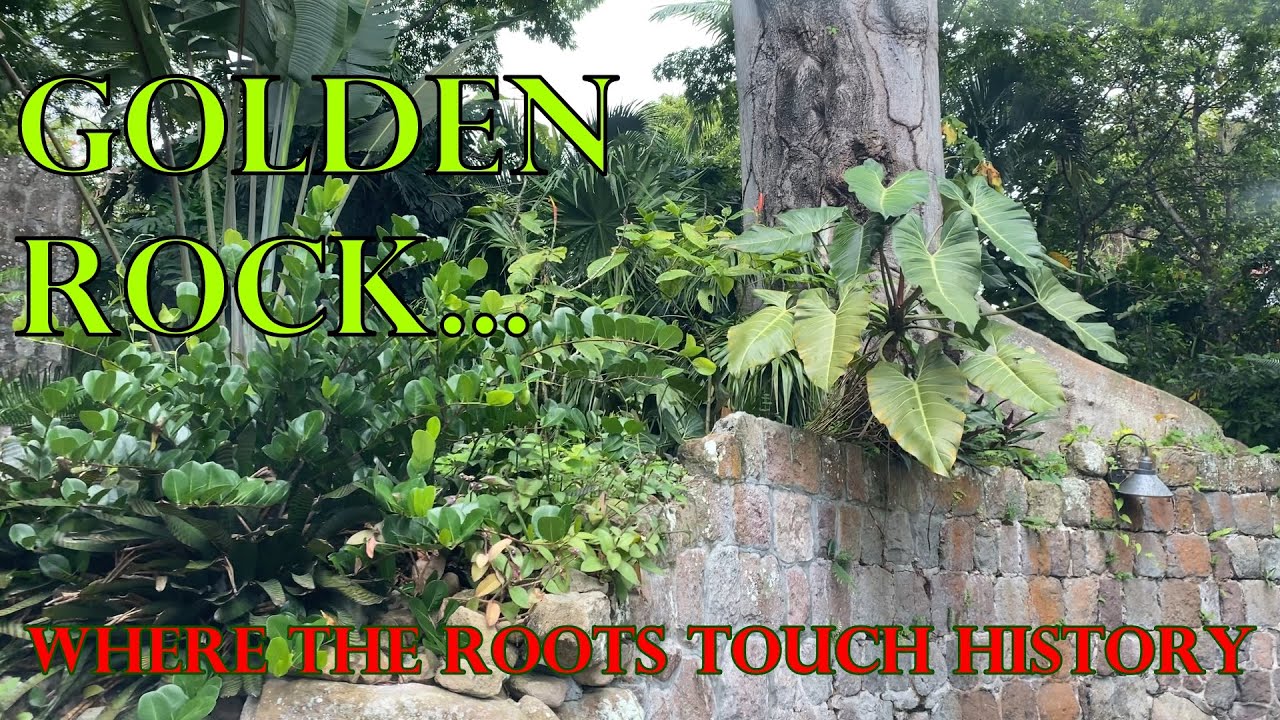 The Garden Hoe Goes Tropical | Roots, Stone & Garden at Golden Rock Estate - E4