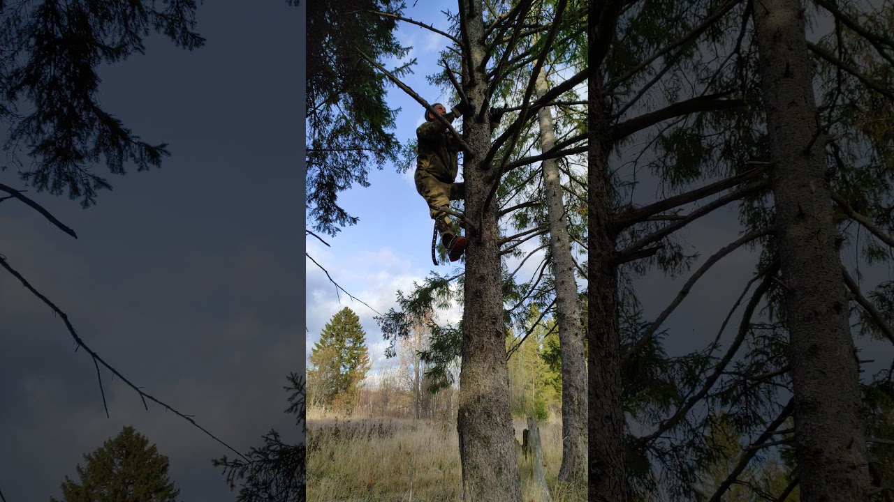 дереволазы (гаффы) испытание!