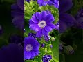 #nature #shorts #wildlife #Nature explore