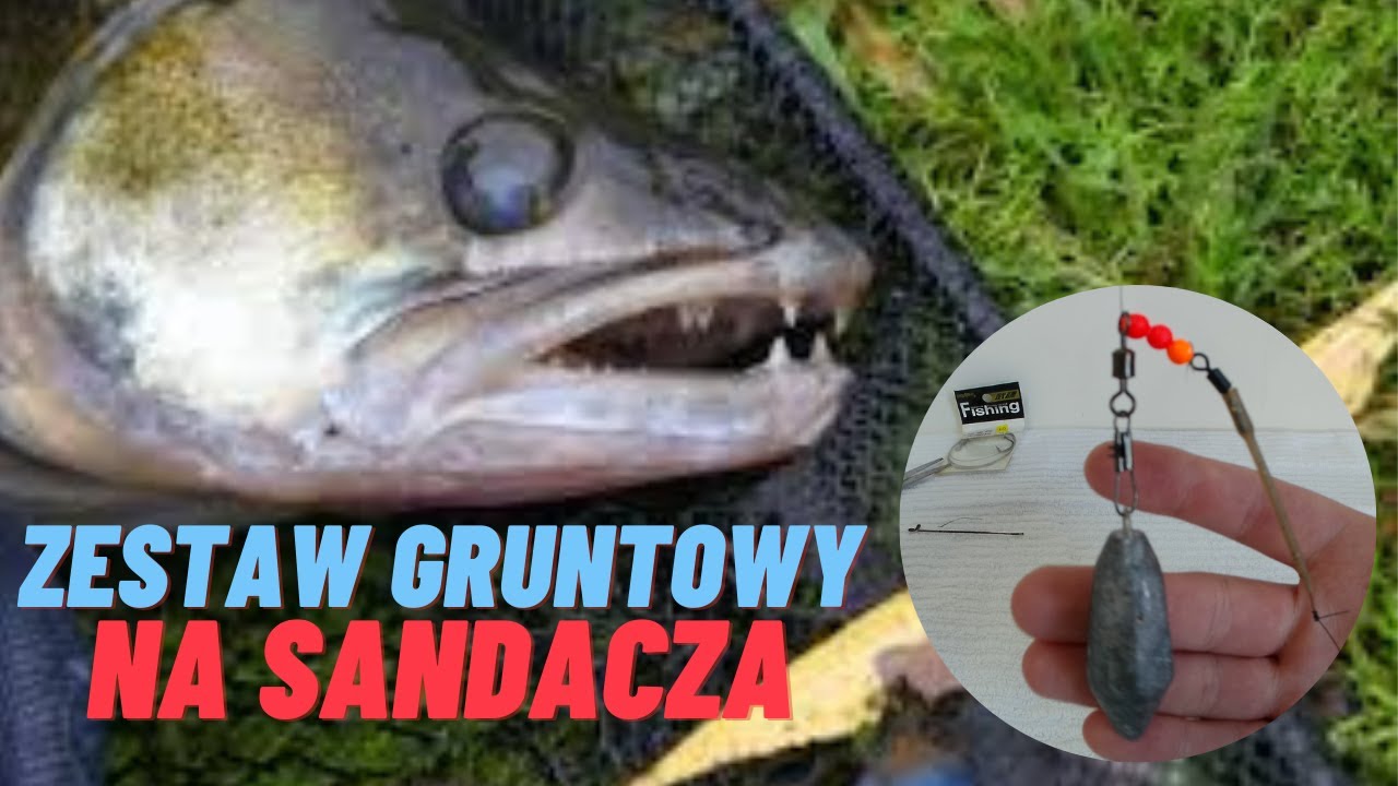 ZESTAW GRUNTOWY NA SANDACZA - ZESTAW NA TRUPKA  - BARDZO SKUTECZNY !!