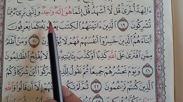 سورة الأنعام تصحيح وتجويد وتعليم من غير كتب تجويد 📚📖