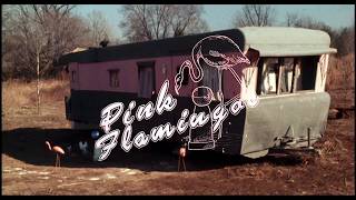 Pink Flamingos (1972) Intro - John Waters - Divine - David Lochary - Mary Vivian Pearce - Mink Stole