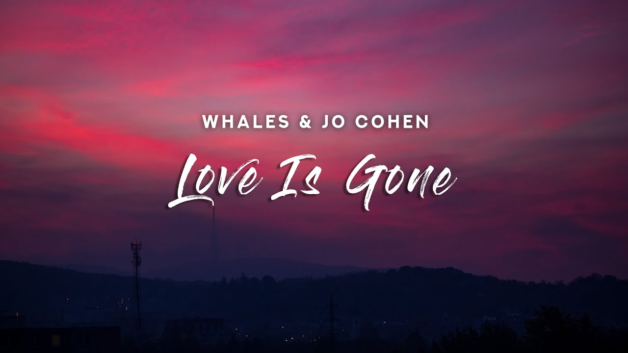 Whales & Jo Cohen Love Is Gone (Lyrics) YouTube