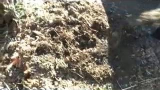 Building Our Raised Vegetable Garden Beds
