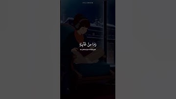 ‎اجمل تلاوة القران الكريم اسلام صبحي حالات واتس اب قران حالة نفسية 😴❤️