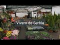 Paseo por un Vivero de Serbia