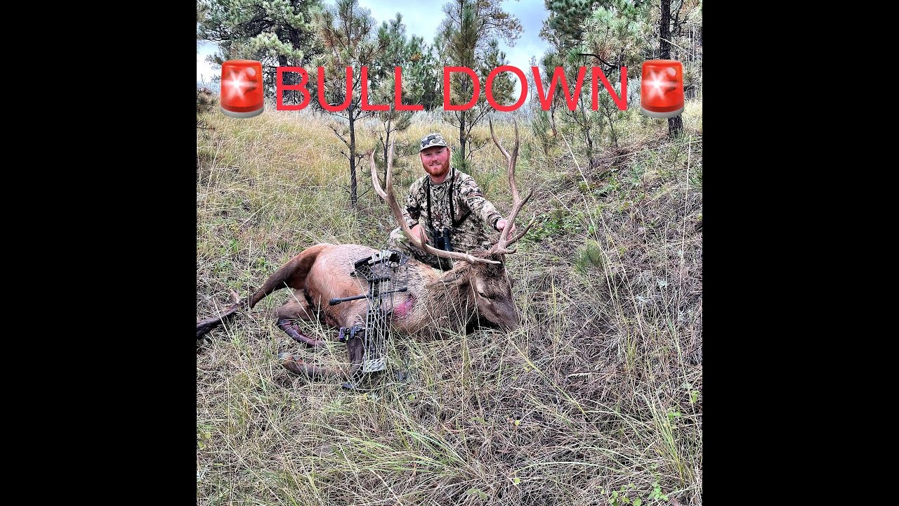 TAGGED OUT!! Eastern Montana DIY Archery Elk hunt (Montana Ep. 1) YouTube