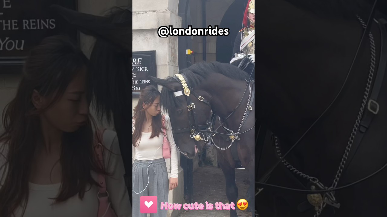 Cute interaction at royal king guard 