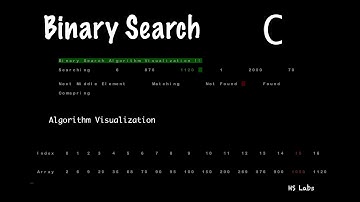 Binary Search Algorithm Visualization | Algorithms | C | Visualization