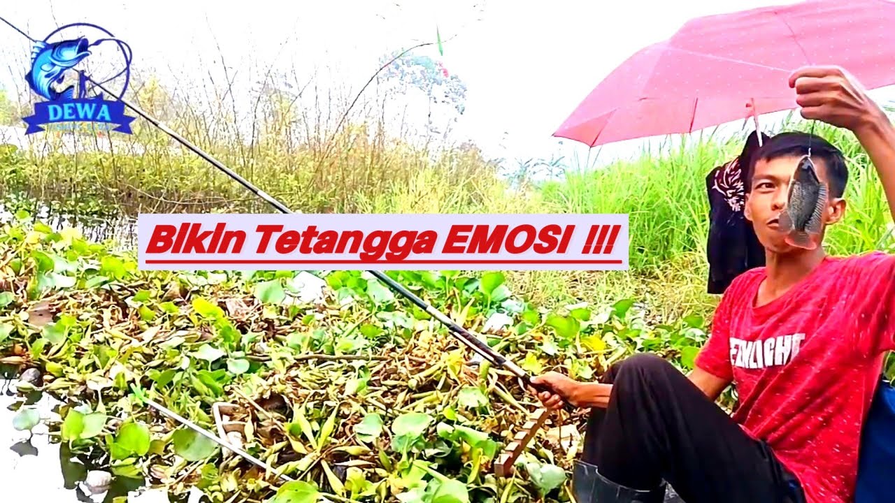 Waduk Selorejo ngantang‼️ spot jambuan..